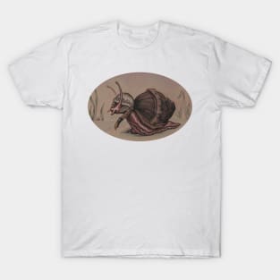 Explorer Snail T-Shirt